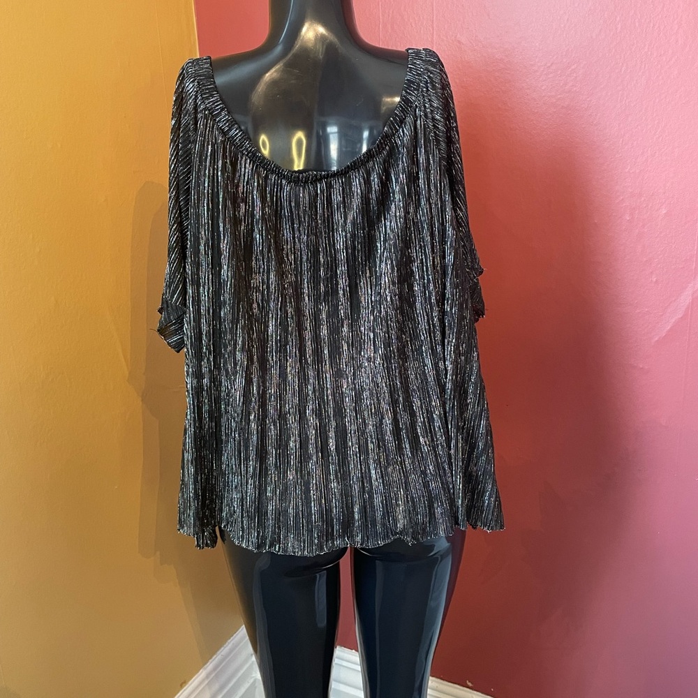 Women’s Plus Size Glitter Top ( 2X )